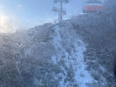 -密苑云顶乐园(云顶滑雪场)