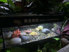 -重庆欢乐海底世界