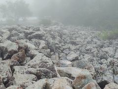 -陕西省红河谷森林公园