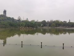 -江心屿景区