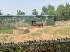 -西安秦岭野生动物园