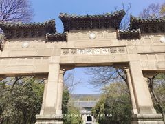-灵谷景区