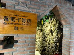 -新疆国际大巴扎