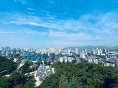 -金鸡山公园