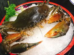 -港迹·鲜围煮海鲜火锅(湖州时代广场店)