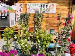 -辛庄国际文化艺术区