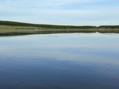 -塞罕坝国家级自然保护区