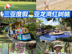 -三亚亚龙湾红树林度假酒店