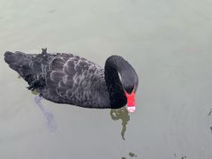 -五缘湾湿地公园