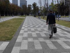 -洋湖国家湿地公园
