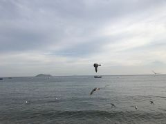 -银沙滩浴场