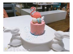 火烈鸟-随心小姐