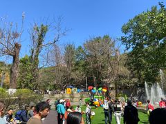 -燕塞湖鸟语林景区