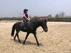 -松声马术俱乐部