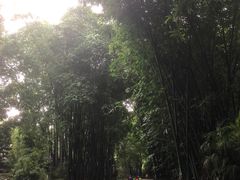 -望江楼公园