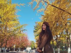 -辽宁大学(崇山校区)