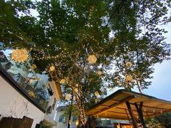 -云里小坐·小院里·团建·宴请·下午茶(三圣乡店)