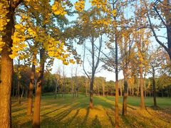 -中国浦东干部学院