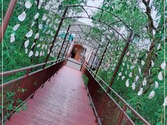 -崖口红树林海鲜餐厅