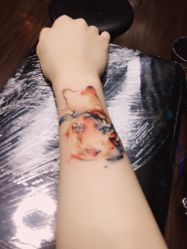 -苏州一渡刺青纹身馆