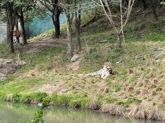 -宁波野生动物园