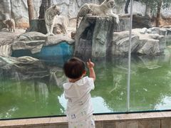 -灵玲国际马戏城