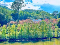 -广州市帽峰山景区