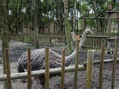 -昆山城市生态森林公园