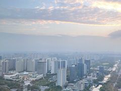 -嘉定凯悦·咖啡厅