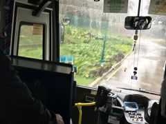 -香港迪士尼乐园度假区穿梭巴士