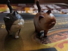 -猫和宫(六道口店)