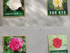 -南阳府衙