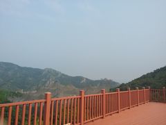 -燕塞湖鸟语林景区