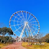 🍓冬日的顾村公园比预期更美🍓