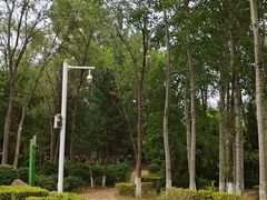 -前关湿地公园
