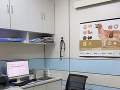 -中农国际动物医院24小时·猫科·骨科·急重症中心