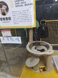-神奇动物撸宠馆·羊驼·小浣熊·异宠(豫园店)