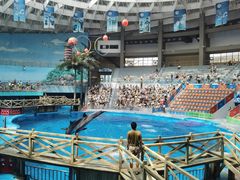 -海合安成都极地海洋公园