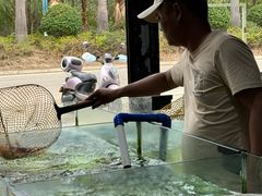 -聚鲜阁海鲜美食城(香水湾店)
