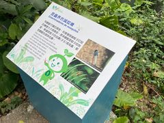 -石排湾郊野公园
