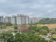 -广州汇华希尔顿逸林酒店