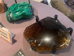 -浙江自然博物院(杭州馆)
