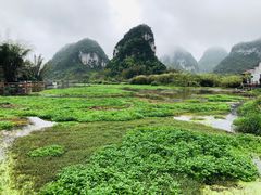 -靖西鹅泉风景区