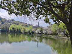 -绍兴东湖风景区