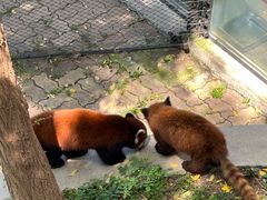 -大连森林动物园