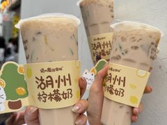 -猫的魔法密林(衣裳街店)