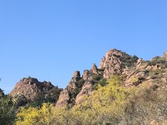 -红山国家森林公园