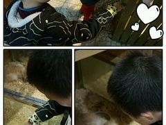 -上海大自然野生昆虫馆