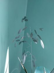 -颜蕾医美·黄金微针·水光·玻尿酸·超声炮·抗衰中心