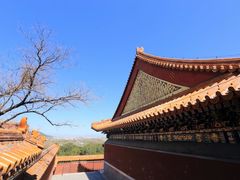 -颐和园